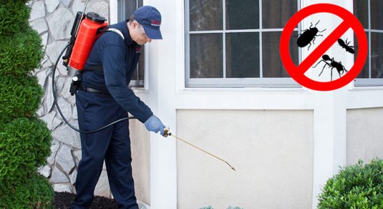 Yavuzeli Kene İlaçlama böcek ilaçlama ve haşere kontrolü — ilaclama-tr.com